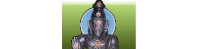 நெடுங்குணம்